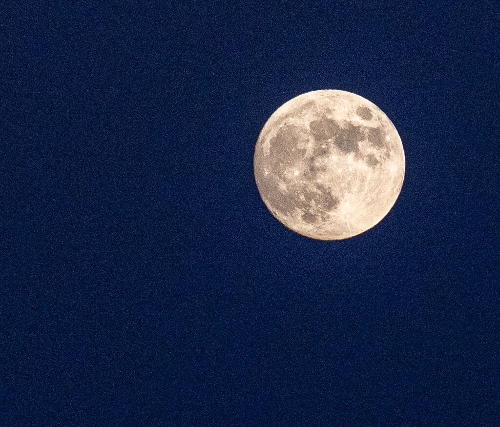 Nearly Full Moon in Sunnyvale, CA by mdaskin