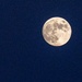 Nearly Full Moon in Sunnyvale, CA by mdaskin