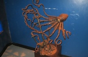 17th Jul 2023 - Rusty Octopus