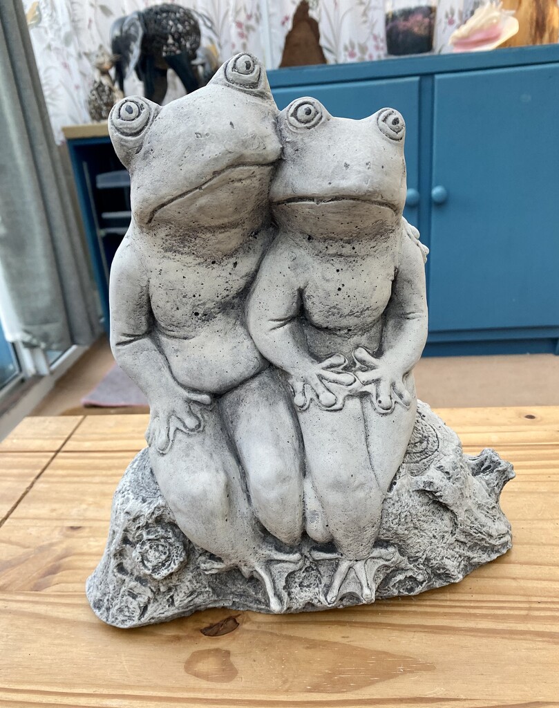 Frog Couple by gillian1912