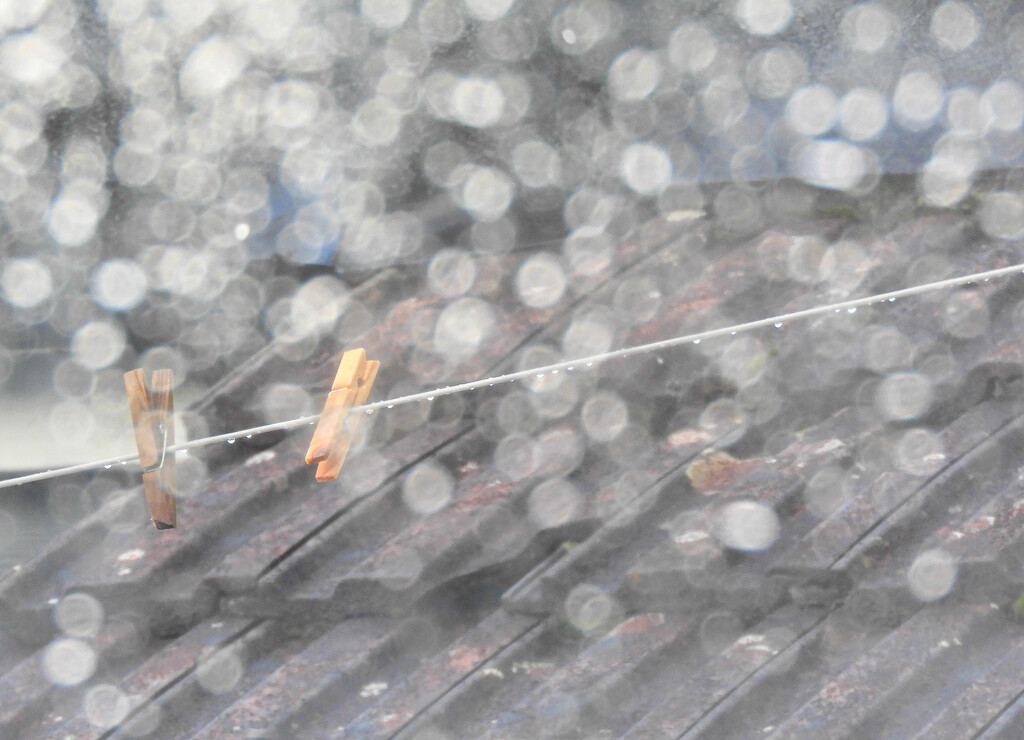 Raindrops and Roof Tiles by tiaj1402