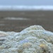 Sea foam by gaillambert