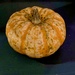 Miniature pumpkin!  by bigmxx