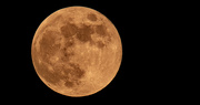 29th Oct 2023 - Last Night's Full Moon!