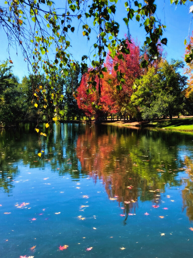 Autumn Pond by joysfocus