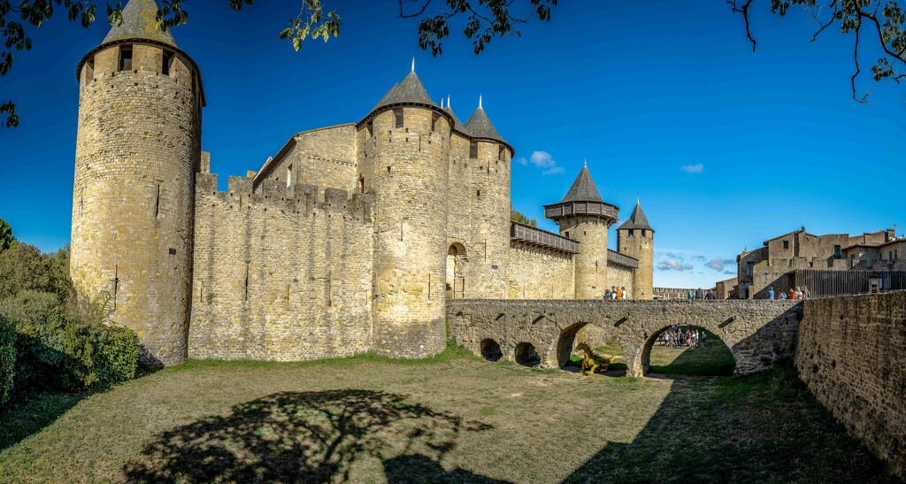 Carcassonne pano by pusspup