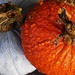 Duo of Pumpkin by ajisaac