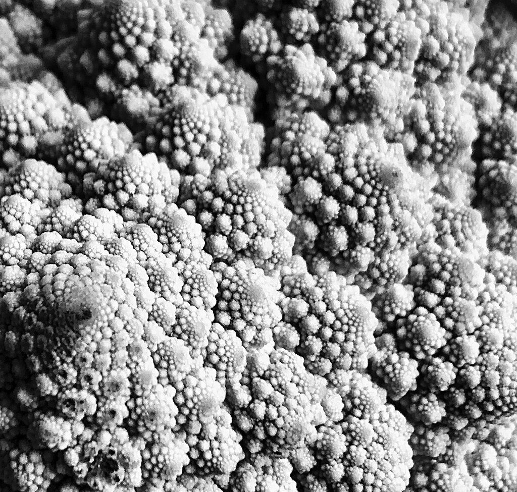 Romanesco cauliflower by philm666