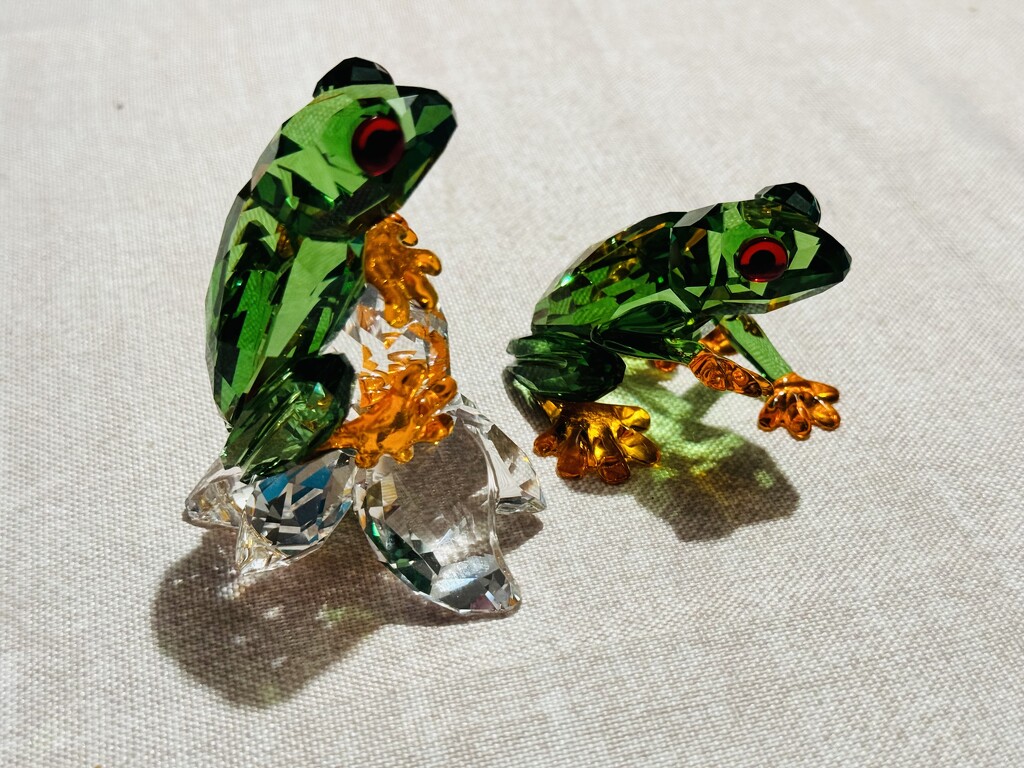 The Frogs by jmdeabreu