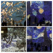 30th Oct 2023 - Carrieres-lumieres