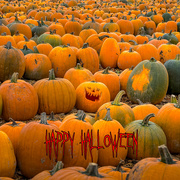 30th Oct 2023 - Happy Halloween 