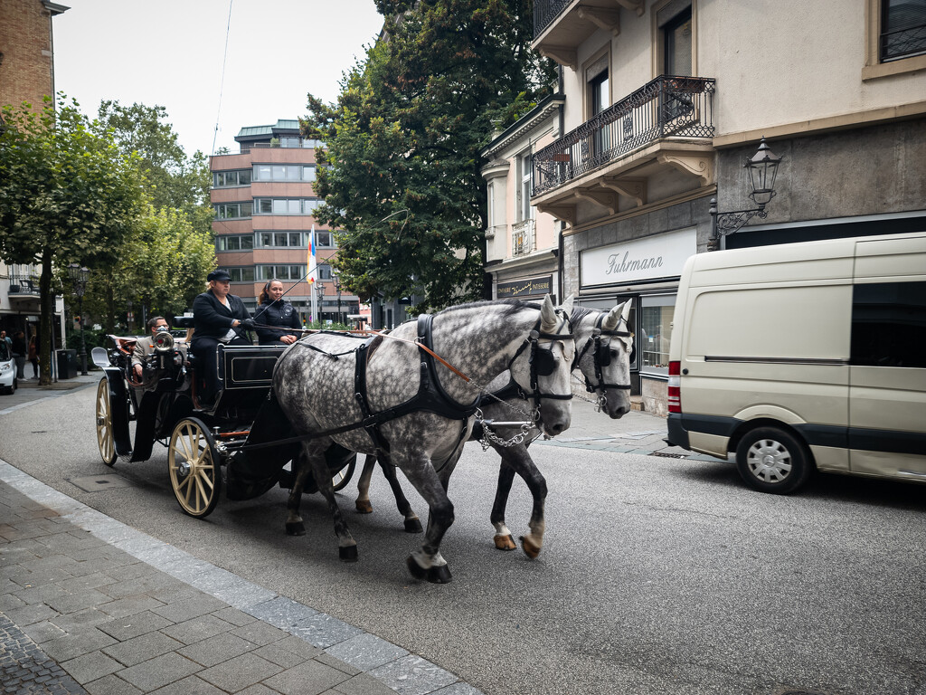 Carriage Ride by swchappell