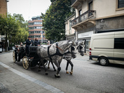 27th Aug 2023 - Carriage Ride