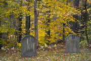 20th Oct 2023 - In the Cemetery 