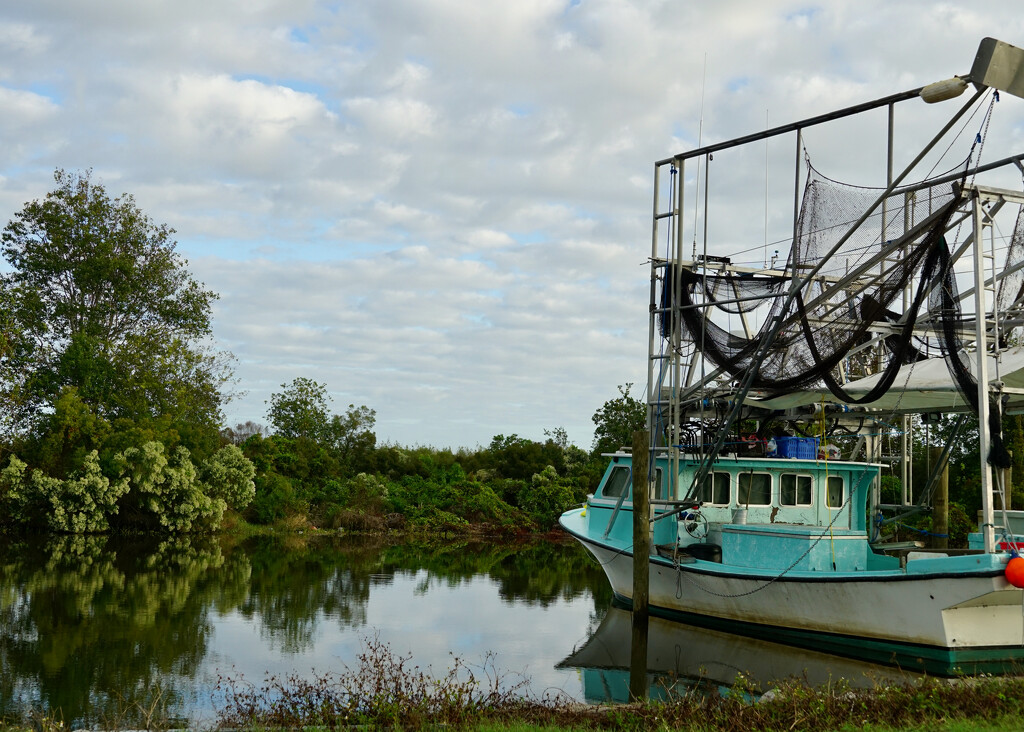 Along the bayou by eudora