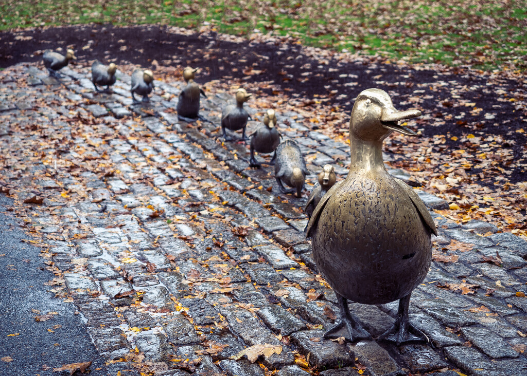 Make Way for Ducklings by rosiekerr