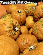 31st Oct 2023 - Pumpkins