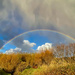 Swinister Rainbow by lifeat60degrees