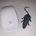 Mice by philm666