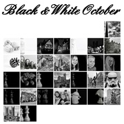 31st Oct 2023 - Black & White October