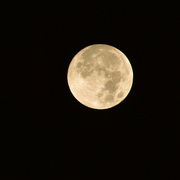 28th Oct 2023 - Full Moon