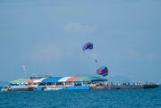 1st Nov 2023 - Paragliders