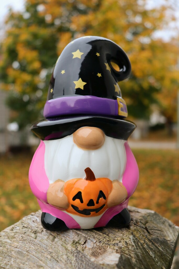 Hal the Halloween Gnomie by princessicajessica