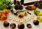 1st Nov 2023 - Hello November 