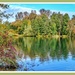 Lake View,Delapre Abbey Gardens by carolmw
