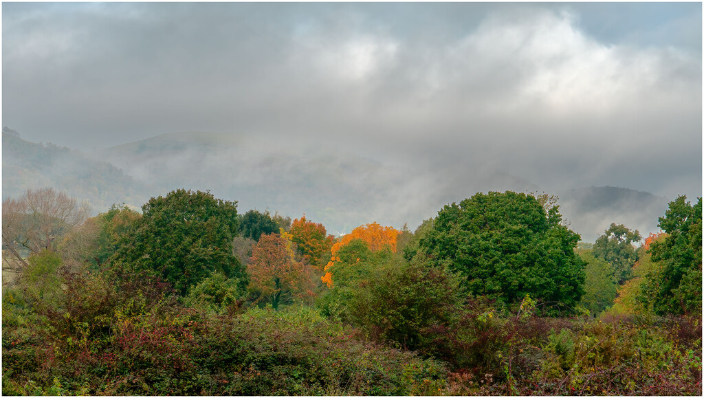 Castlemorton Common by clifford