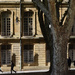 strolling in Aix  by parisouailleurs