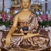 Buddha Shakyamuni by pammyjoy