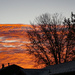 November sunrise 1 by larrysphotos