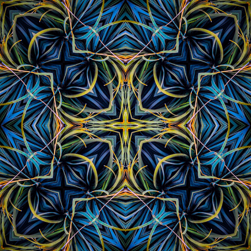 Agave ~ Tessellation #2 by 365projectorgbilllaing