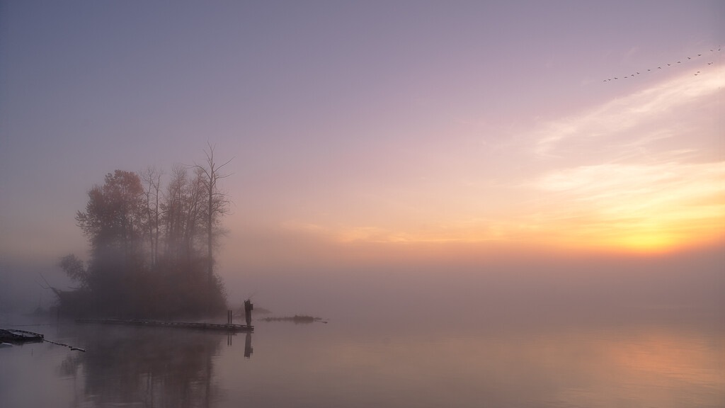 Misty Morning, Fraser River by cdcook48