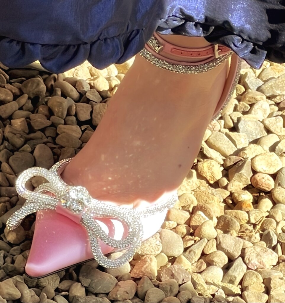 Shoe (2) by rensala