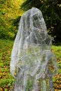 2nd Nov 2023 - Ghosts in the Gardens 2023 - Nun