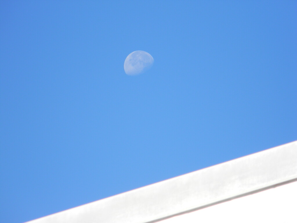 Moon over Top of Building  by sfeldphotos