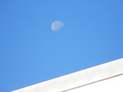 2nd Nov 2023 - Moon over Top of Building 