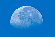 3rd Nov 2023 - The Moon 