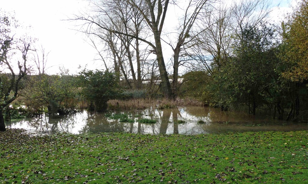 Overflowing Pond by arkensiel