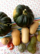 3rd Nov 2023 - Last harvest of the year
