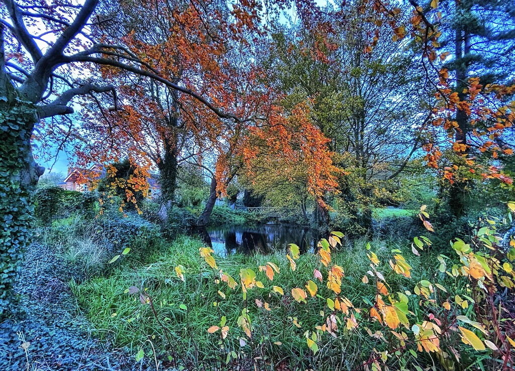 Autumn Moat Bridge  by carole_sandford