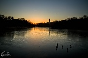 1st Feb 2011 - Highfields Lake at sunset