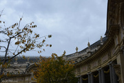 1st Nov 2023 - Petit Palais
