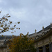 Petit Palais by parisouailleurs