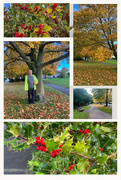 4th Nov 2023 - Autumn Collage 