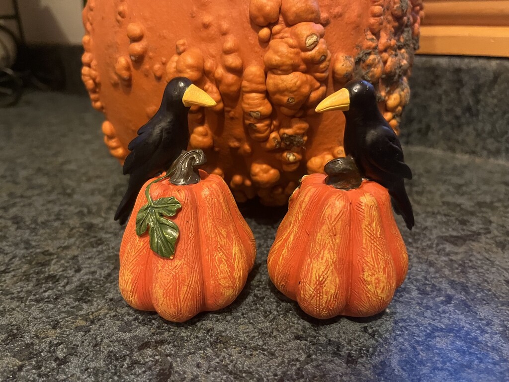 New Additions to the Pumpkin Collection by sunnygreenwood