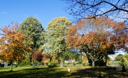 4th Nov 2023 - Autumn in the Memorial Garden