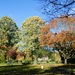 Autumn in the Memorial Garden by fishers